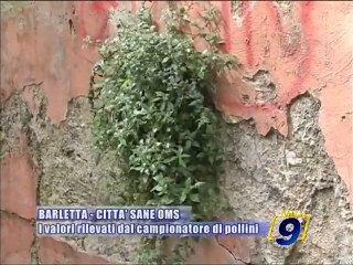 BARLETTA. Citta' sane OMS, i valori rilevati dal campionatore di pollini