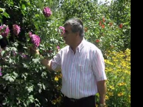 NE ANLAMI VAR ŞİİR AHMET KAYTANCI