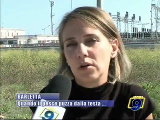 BARLETTA. Quando il pesce puzza dalla testa..