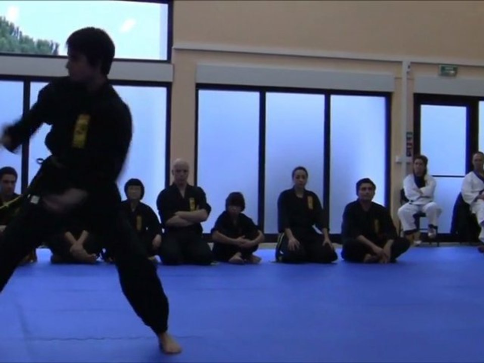 [Nam-Ho-Quyen] Quyen Hai par Elodie - Berre le 29.01.2011