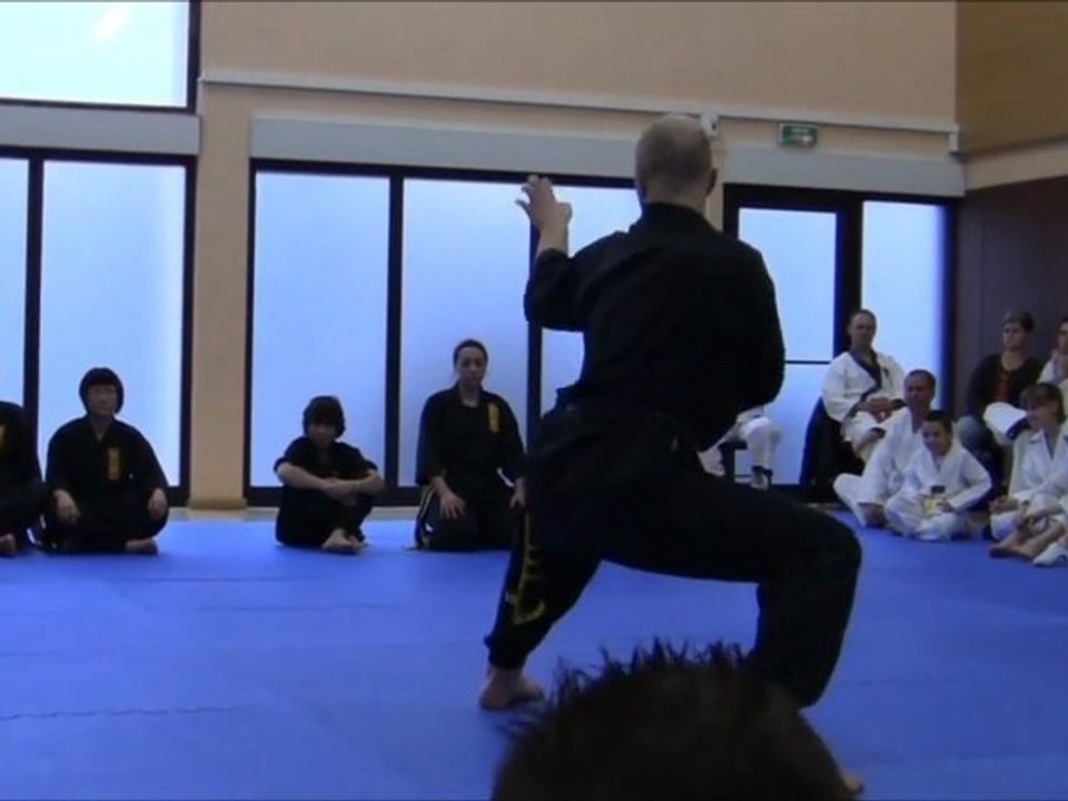 [Nam-Ho-Quyen] Bai Quyen Hai par Romain - Berre le 29.01.201