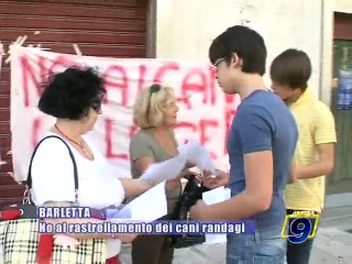 BARLETTA. No al rastrellamento dei cani randagi