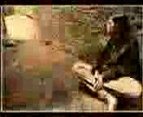 رومانسية هادئة - الرحيل - موسيقى romance