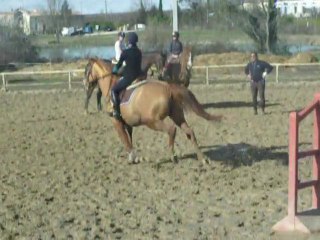 Gwen et son cheval, stage avec seb.