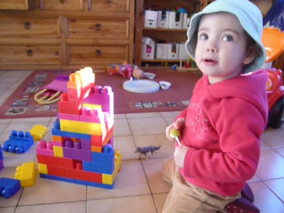2011-01 : la maison des 3 petits cochons