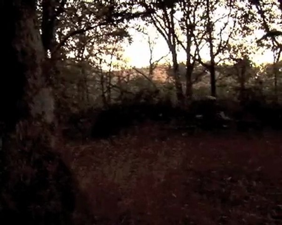 Jamie Mac First Backflip To Dirt