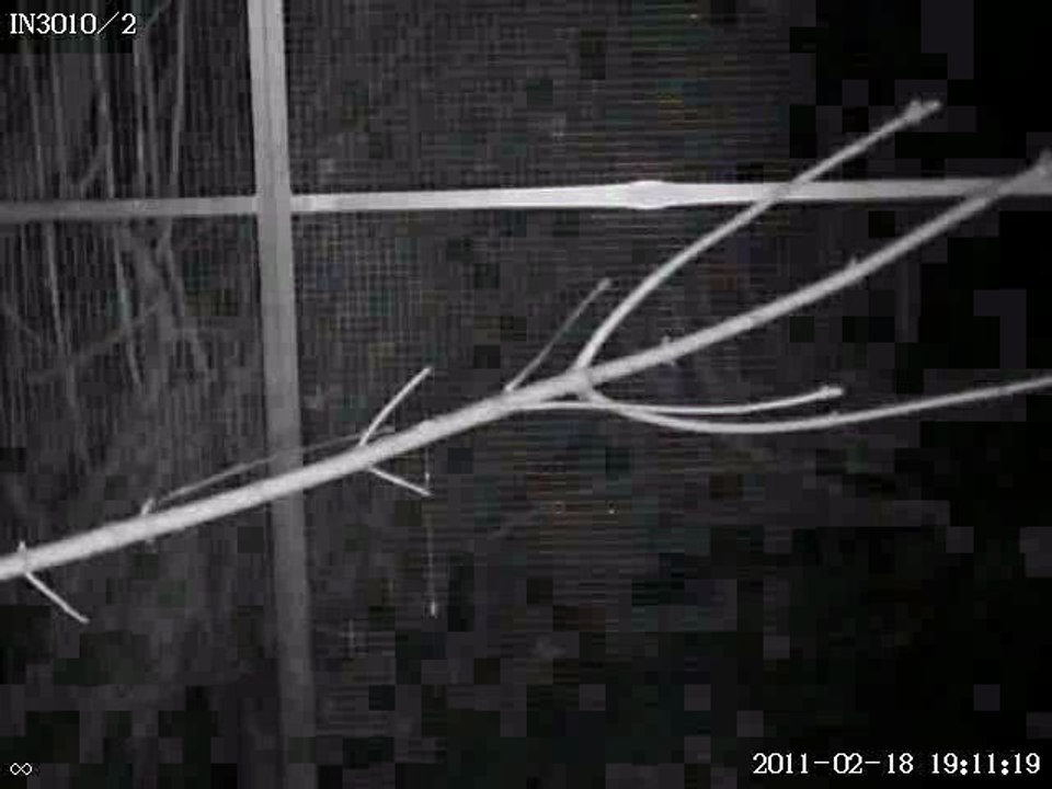 Positionen mit der IN 3010 abfahren.