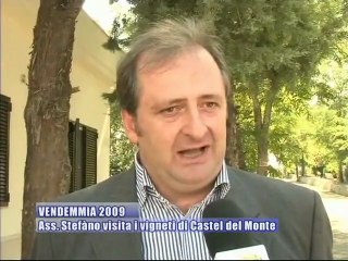 VENDEMMIA 2009. L'Ass. Stefàno visita i vigneti di Castel del Monte