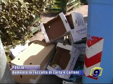 PUGLIA. Aumenta la raccolta di carta e cartoni