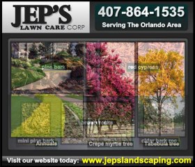 affordable landscaping orlando fl