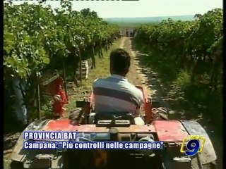 PROVINCIA BAT. Campana: "Piu' controlli nelle campagne"