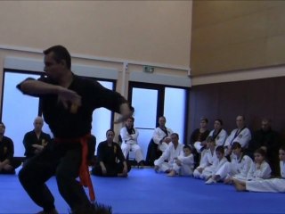 [Nam-Ho-Quyen] Quyen Bon par Stéphane - Berre le 29.01.2011