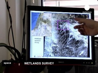 Uno sguardo alle paludi