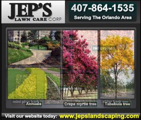 lawn maintenance orlando fl
