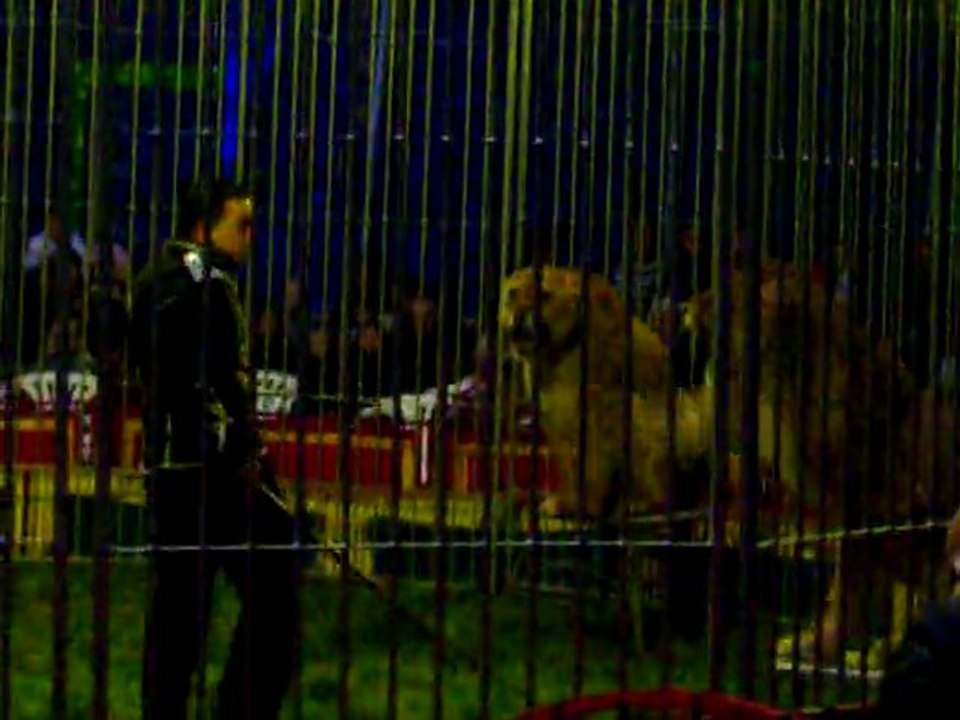 02.saut d tigres