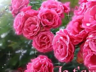 gülce ibrahim sadri