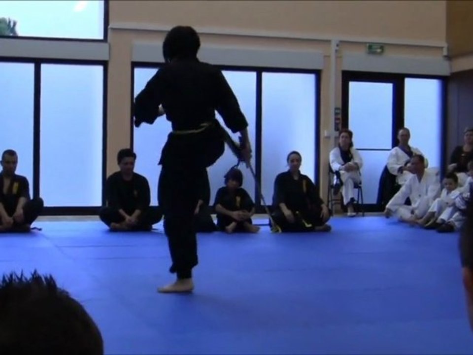 [Nam-Ho-Quyen] Song Phuong Quyen par Xiao Yan