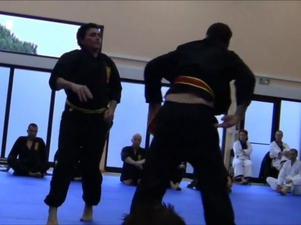 [Nam-Ho-Quyen] Saisie et contre-saisie par Michel