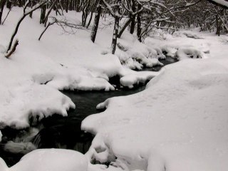 Vivaldi ・Mandolin Concerto ・JP  Nikko Forest Snow Scene