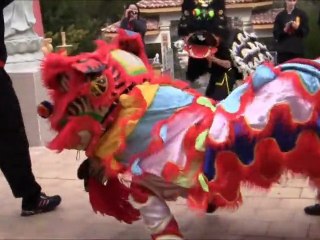 [Nam-Ho-Quyen] Danse de la licorne - Pagode Phap Hoa