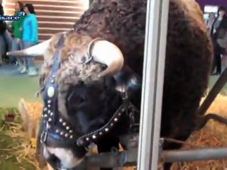 Le métier d'agriculteur vu d'Alsace