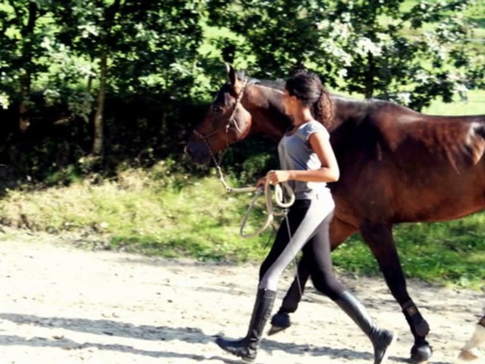 Année 2010/2011