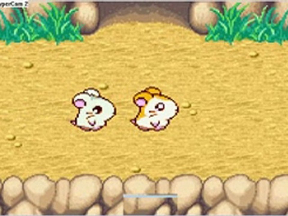 WT Hamtaro Heartbreak/3-La plage aux hamster