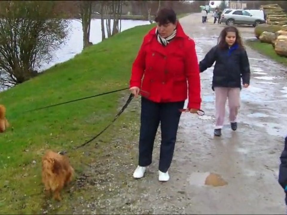 BALLADE A QUATRE PATTES