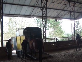 15.02.2011 Degré 2  Ténébra