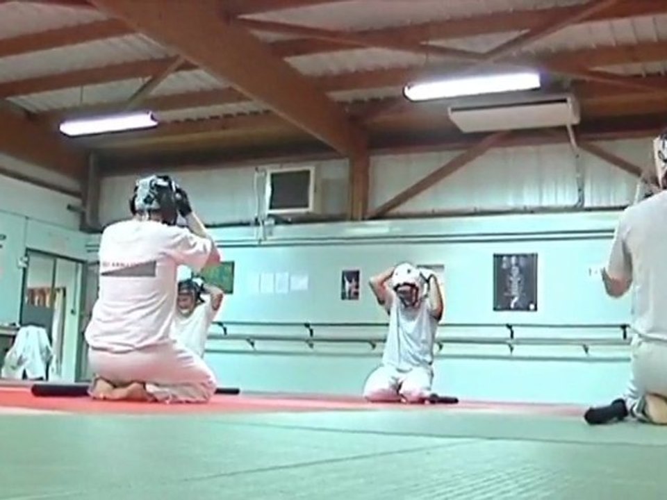 Le Chanbara, un art martial méconnu (St-Julien-les-Villas)