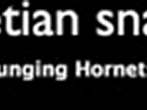 Venetian Snares - Plunging Hornets