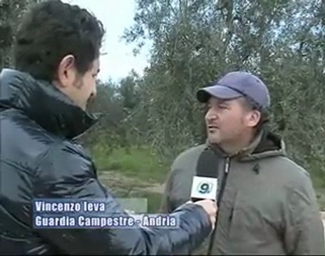 Continui disagi per gli automobilisti sulla strada provinciale 189