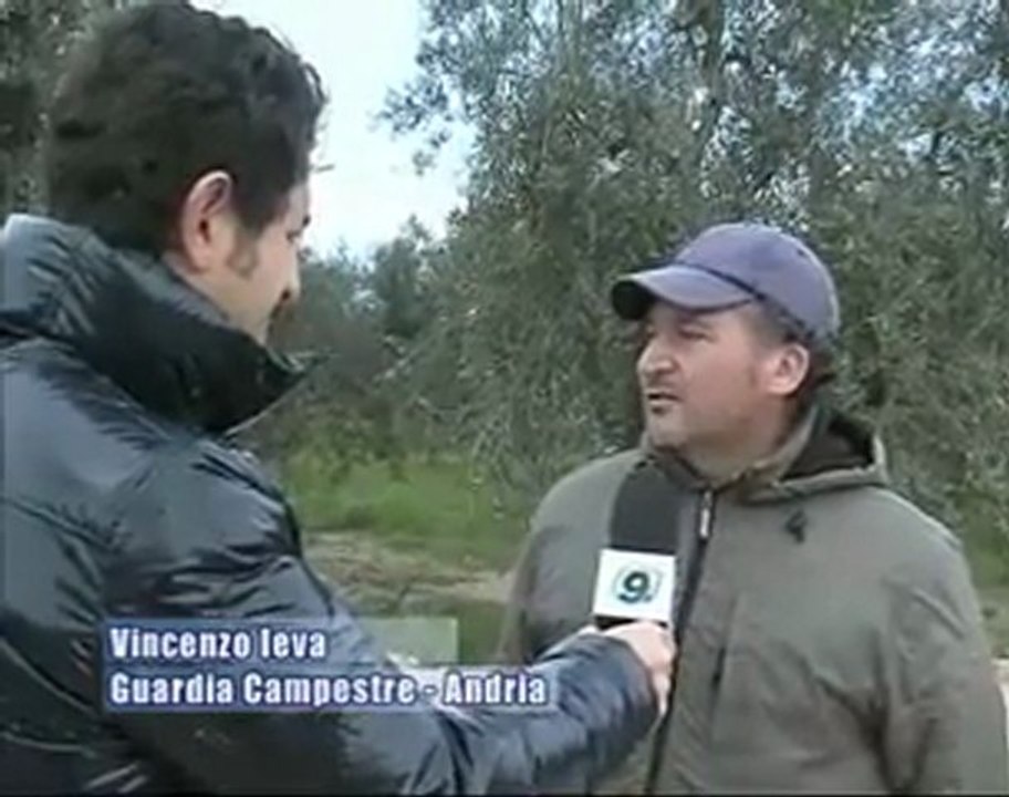 Continui disagi per gli automobilisti sulla strada provinciale 189