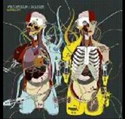 Venetian Snares - Neon Genesis Evangelion Violin Solo