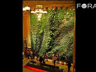 Sky's the Limit: The Vertical Gardens of Patrick Blanc