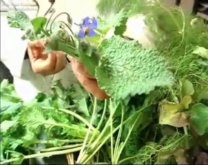 Ricette Natalizie: Il menù di Peppe Zullo  " il primo "