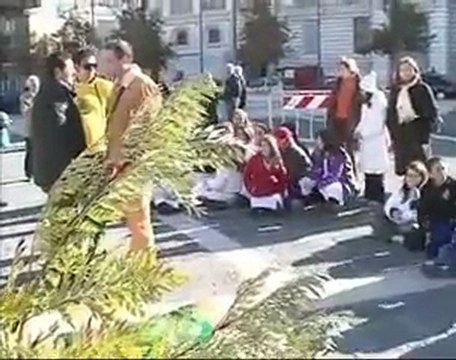 ANDRIA. 1^ edizione Festa dell'Albero