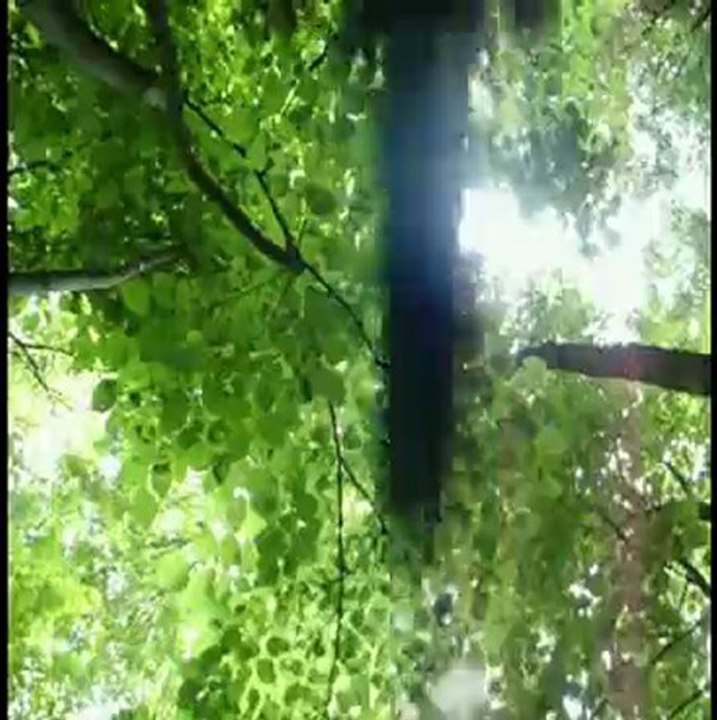 Iowa MTB Singletrack: Skunk River Pallets II