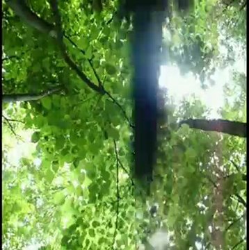 Iowa MTB Singletrack: Skunk River Pallets II