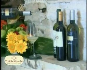 TORREVENTO -  all'origine dei vini nobili