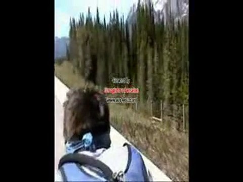 4600 kilometers on a downhill bike