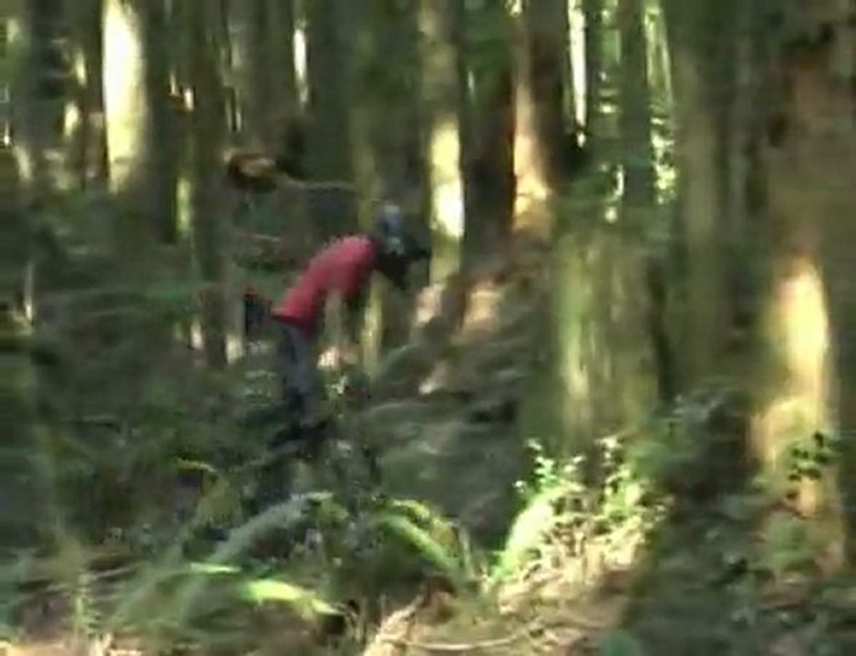 Woodlot