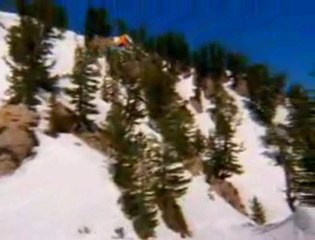 Teddy Bear Crisis Brandon Becker Niklas Karlstrom