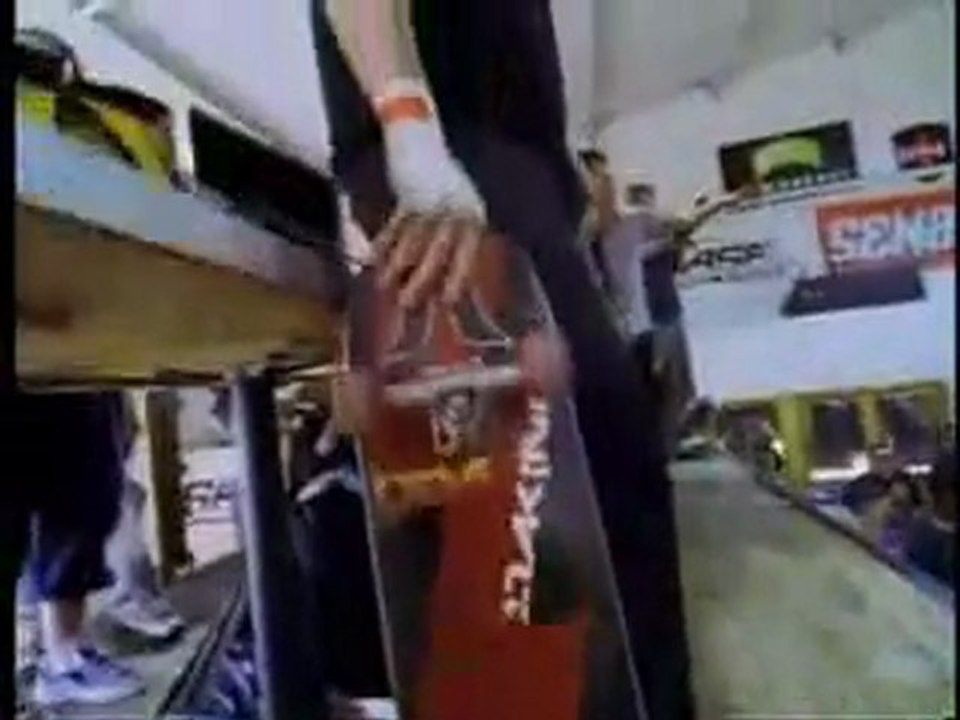 MIKE VALLELY - "Tony Hawk's Gigantic Skatepark Tour" (2001)