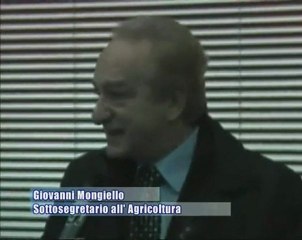 L'on. Mongiello sulla 6^ provincia - AMICA9 informa