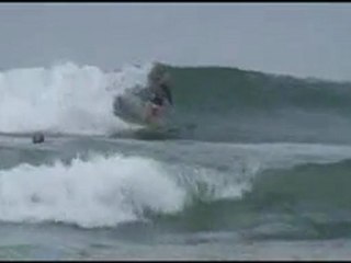 Girls of the US Open Of Surfing 2008