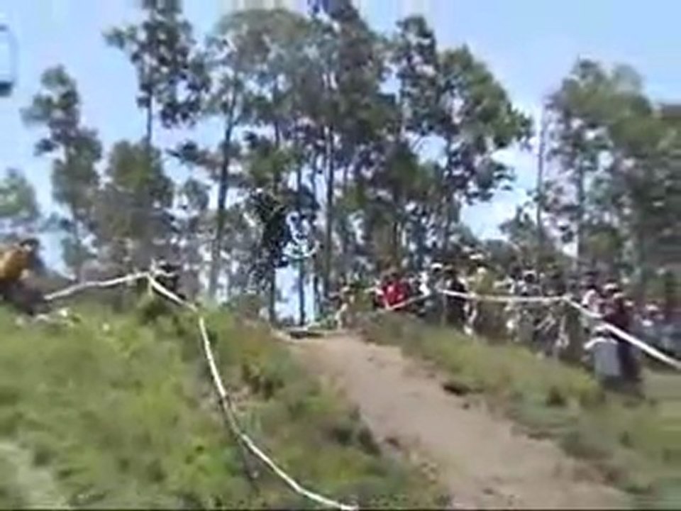 Crested Butte Wild Flower Rush