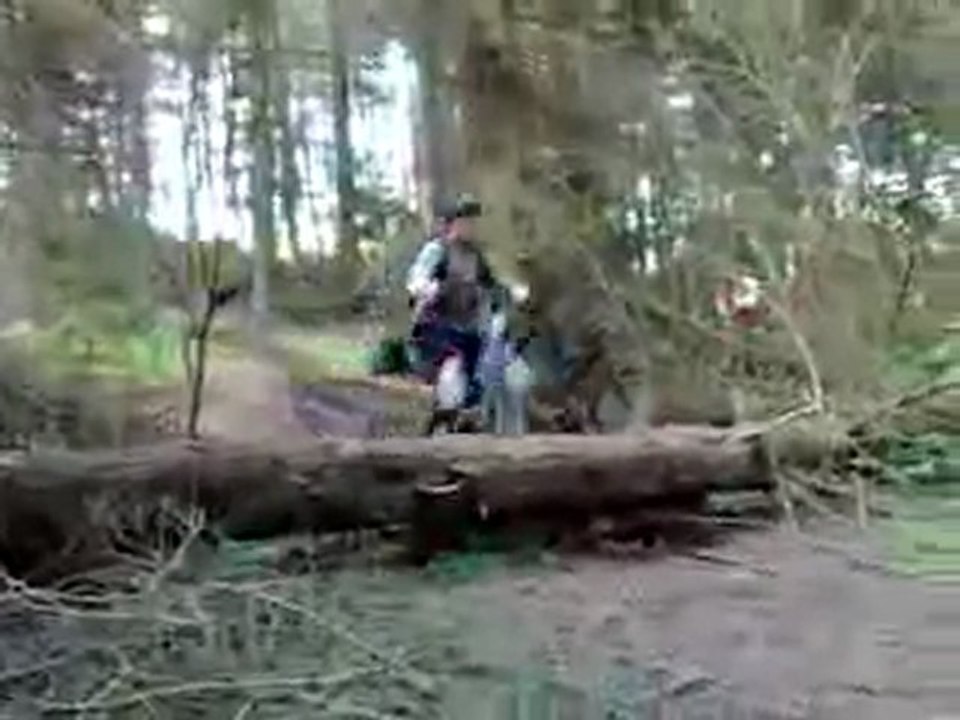 Shitty Crash