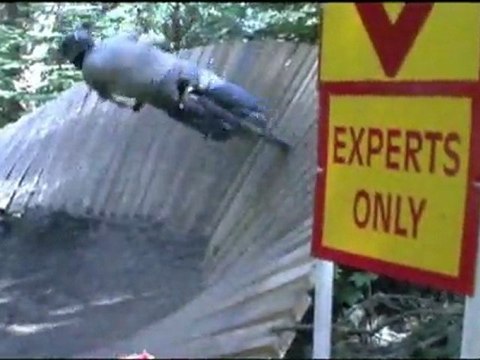 Trail Crew - A Mountain Bike Community Project