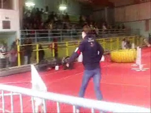 Elora Danan 1 er concours agility 2011 w